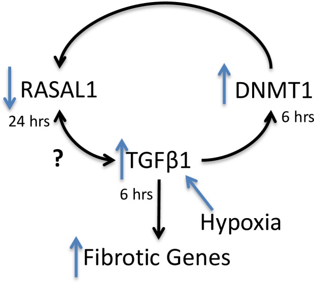 Fig 10