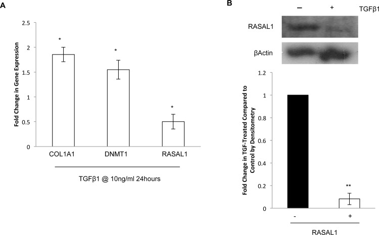 Fig 8