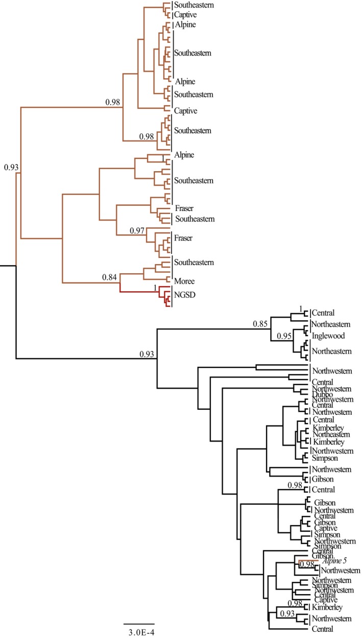 Figure 6