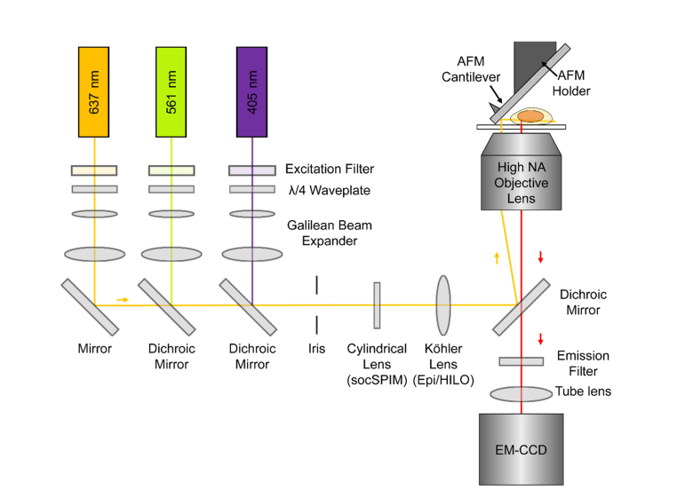 Fig. 1