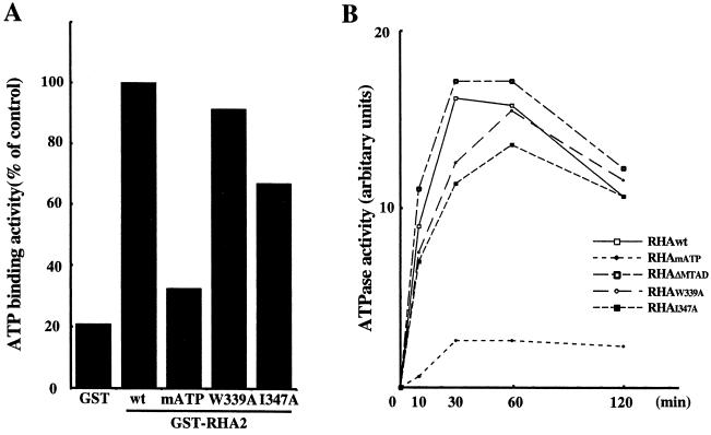 FIG. 6