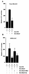FIG. 10.