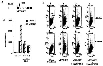 FIG. 2.