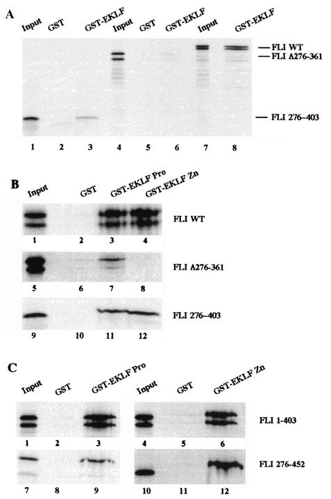 FIG. 5.