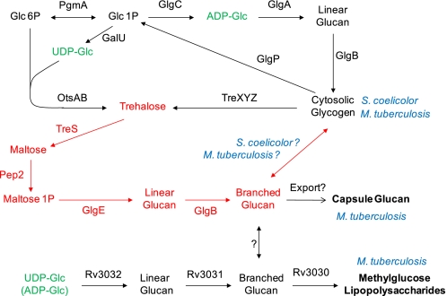 FIGURE 1.