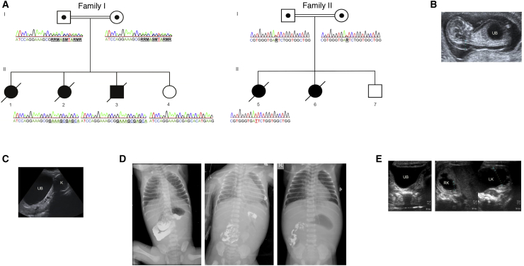 Figure 1