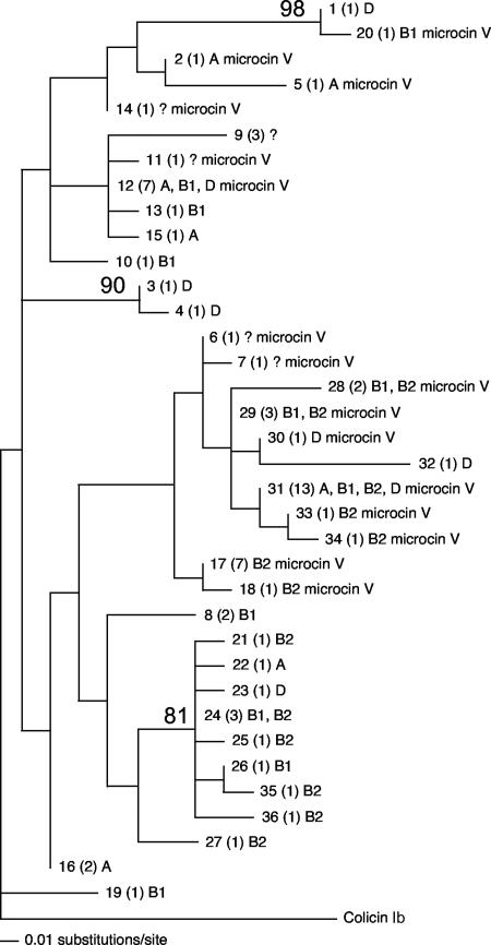 FIG. 1.