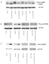 Fig. (4)