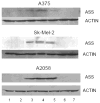 Fig (6)