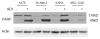 Fig. (3)