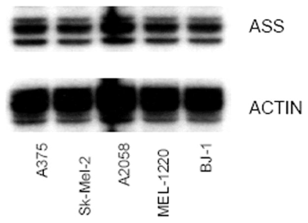 Fig. (5)