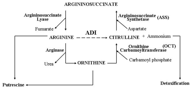 Fig. (1)