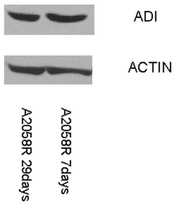 Fig. (9)