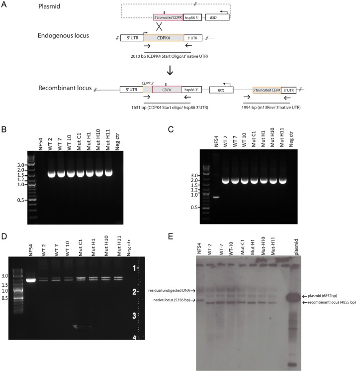 Figure 3.