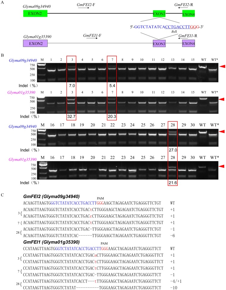 Fig 3