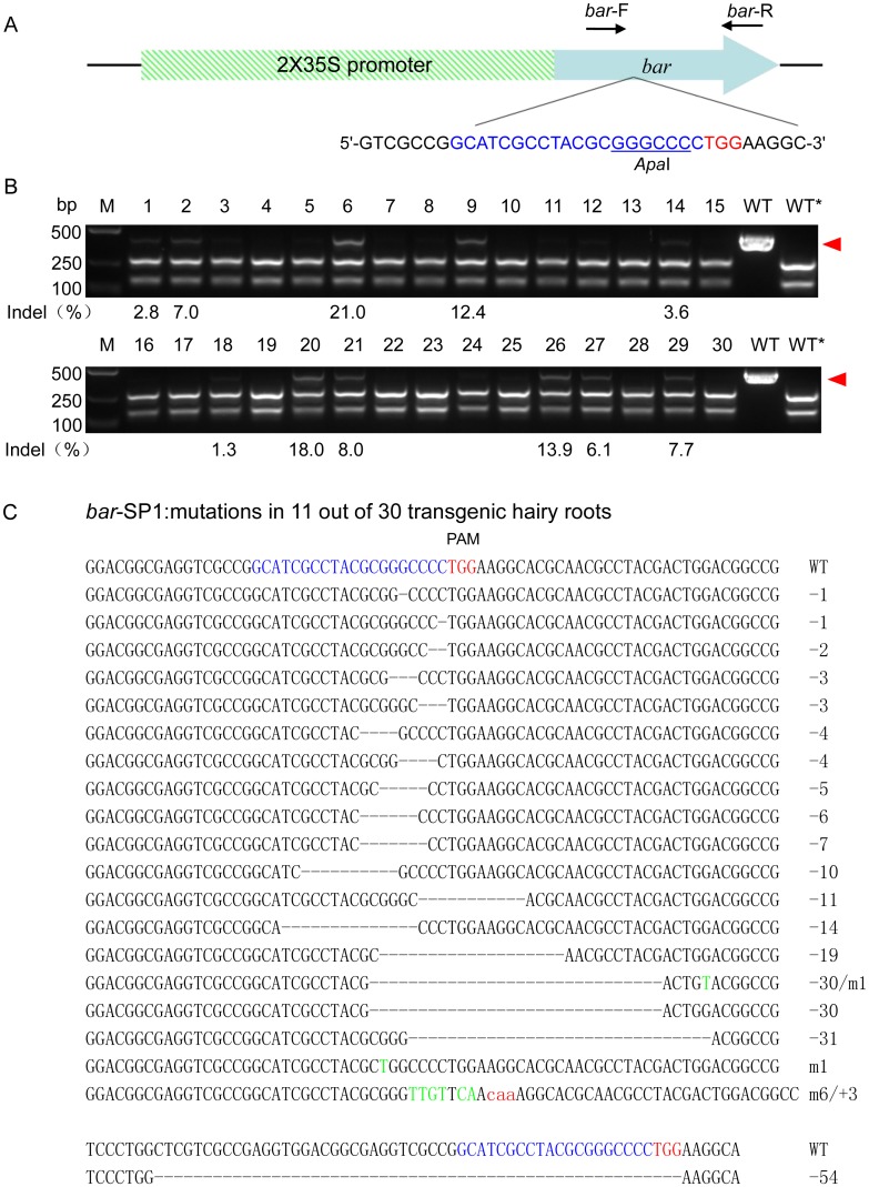 Fig 1