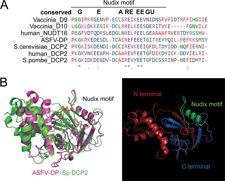 FIG 2