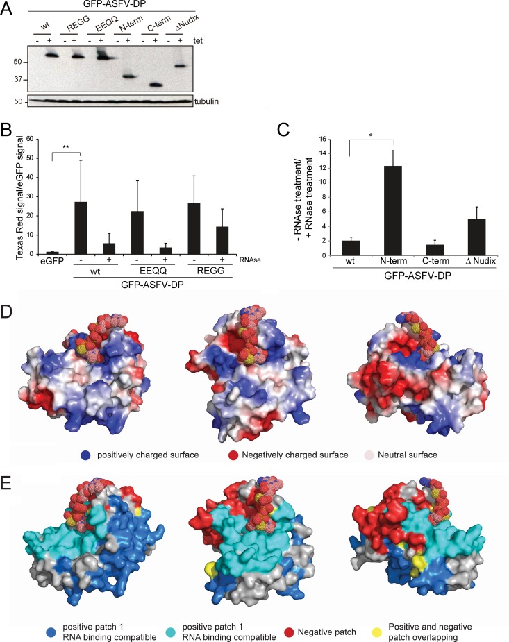 FIG 6