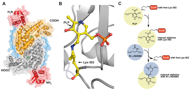 Figure 7