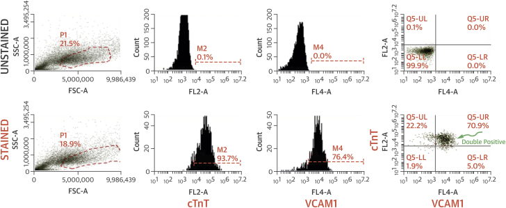 Figure 2