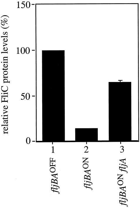 FIG. 5.