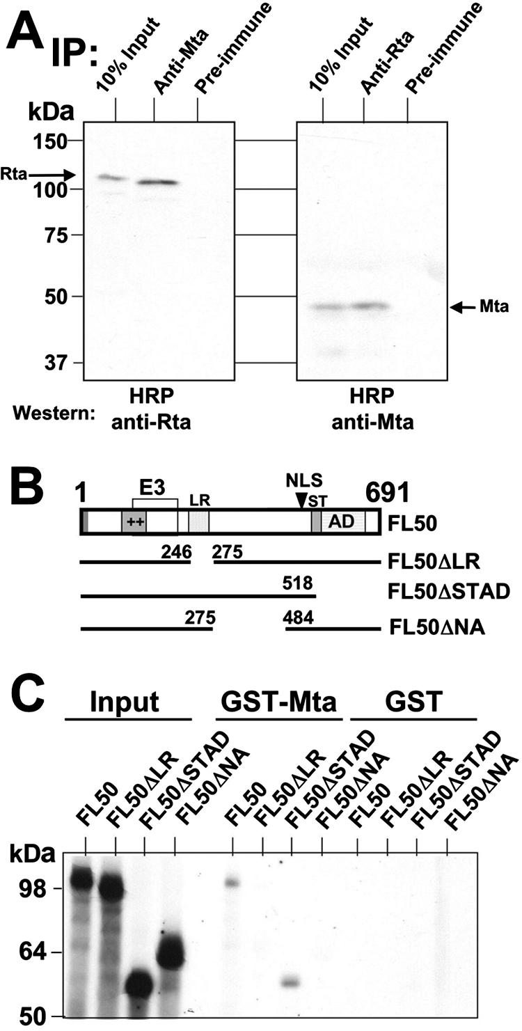 FIG. 9.