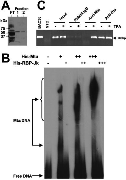 FIG. 10.