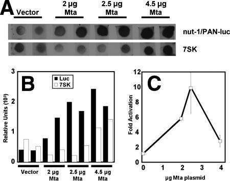 FIG. 7.