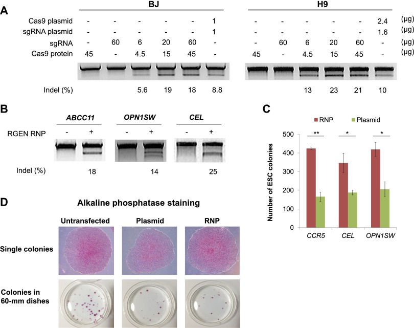 Figure 2.