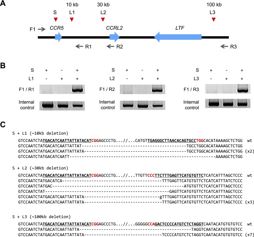 Figure 4.