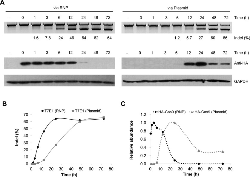 Figure 6.