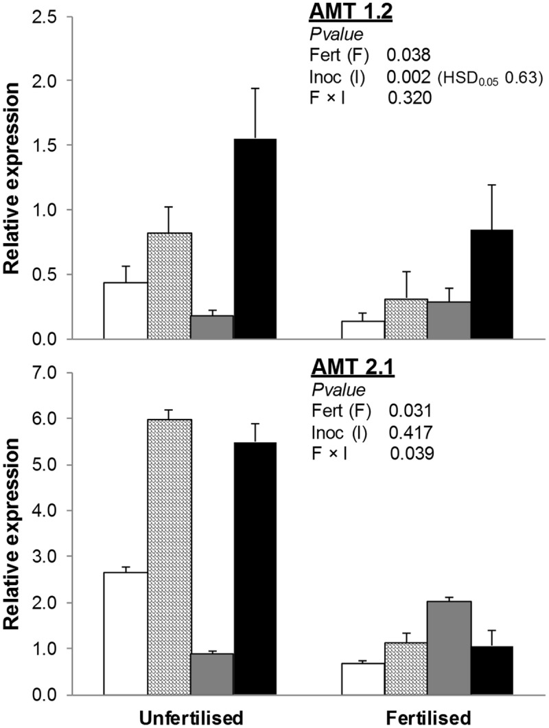 FIGURE 3