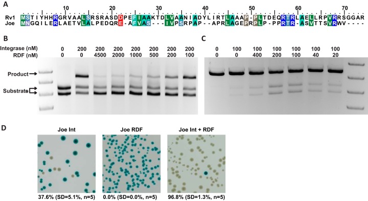 FIG 6