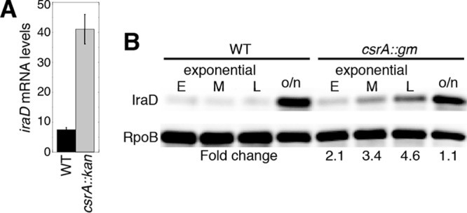 FIG 3 