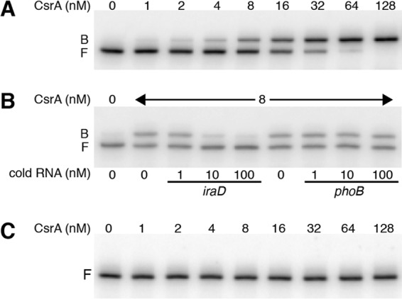 FIG 4 