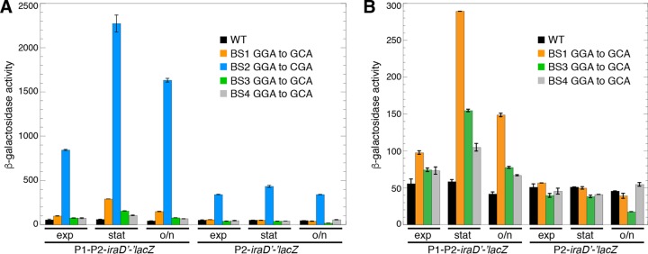 FIG 6 