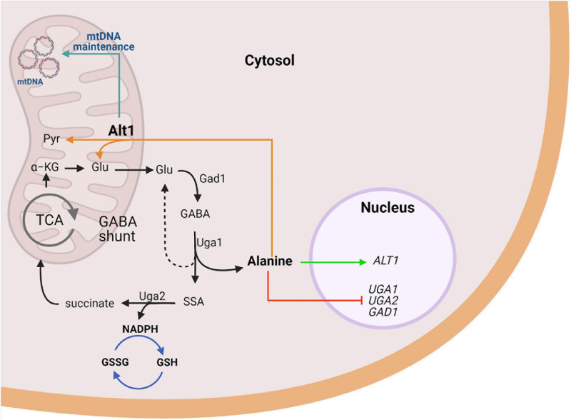 FIGURE 7