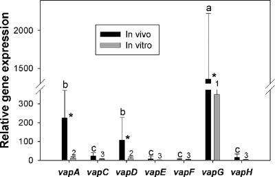 FIG. 1.