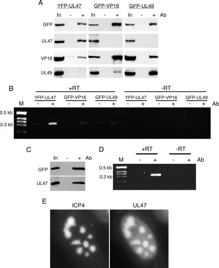 FIG. 8.