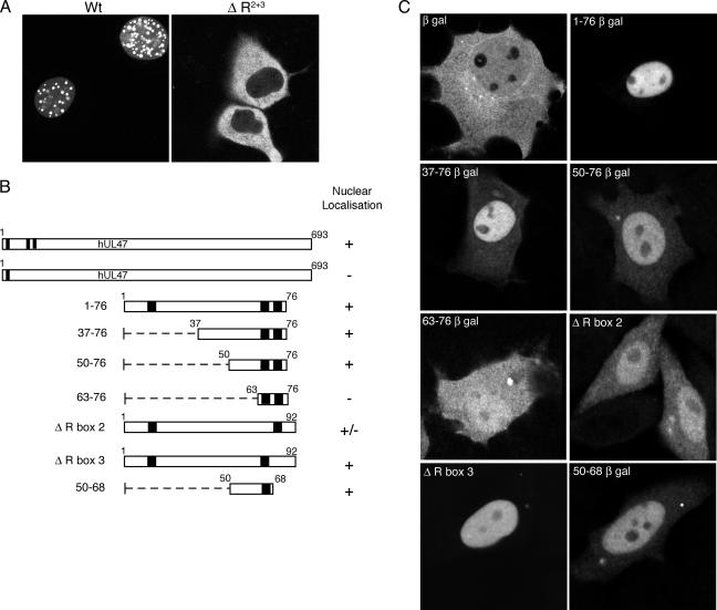 FIG. 6.