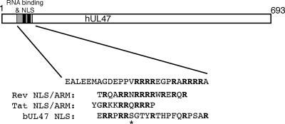 FIG. 9.