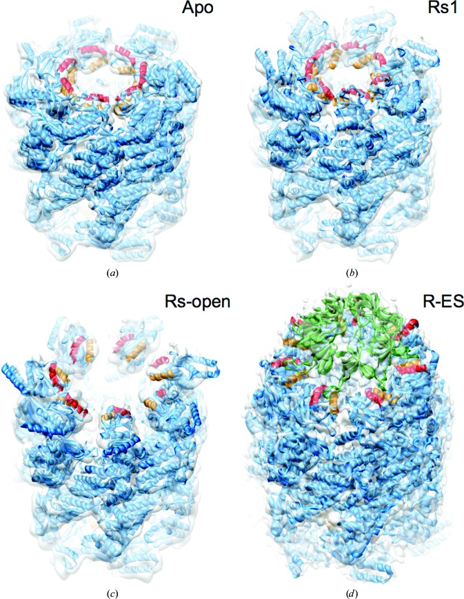 Figure 2