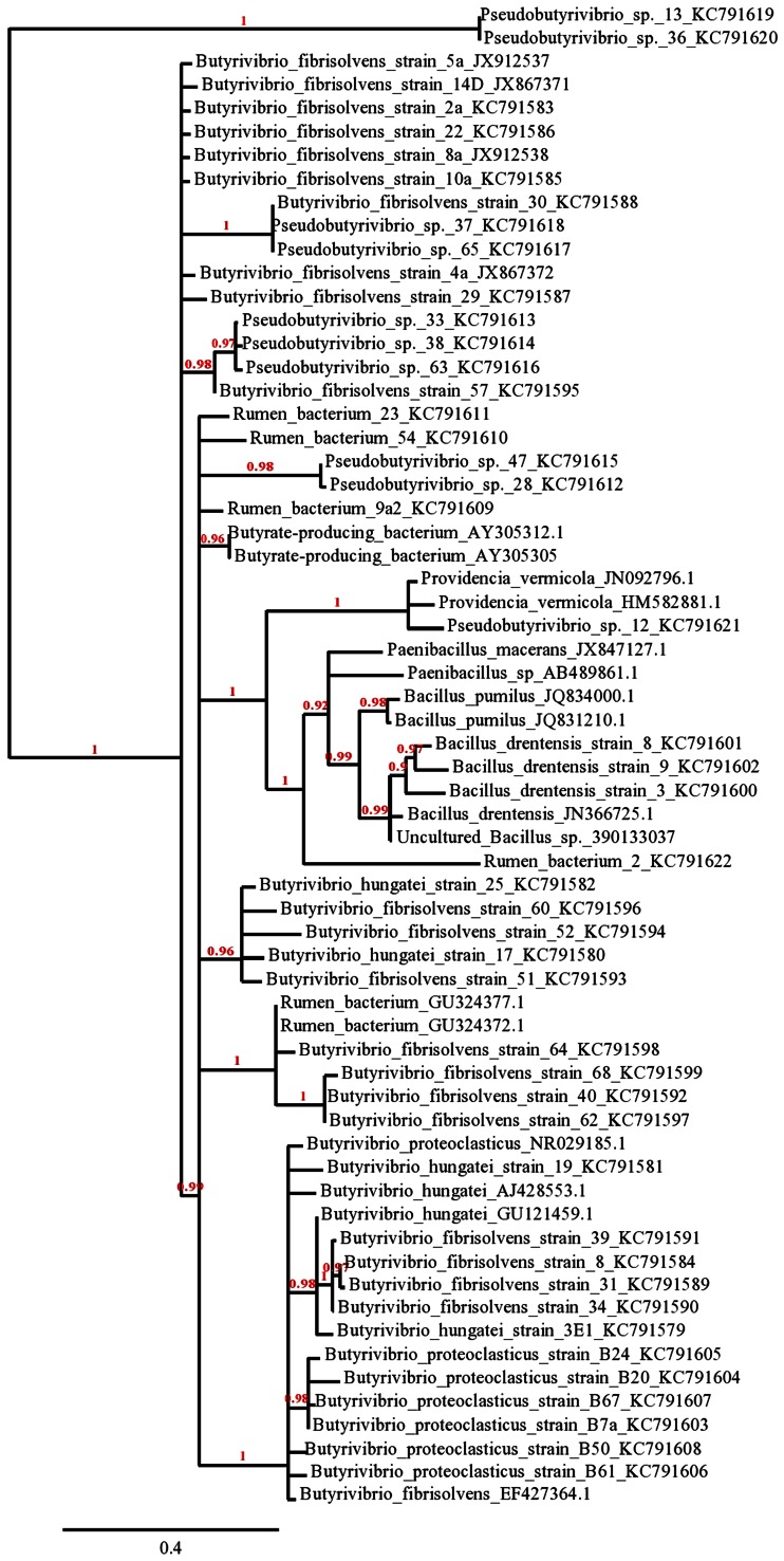 Fig. 3