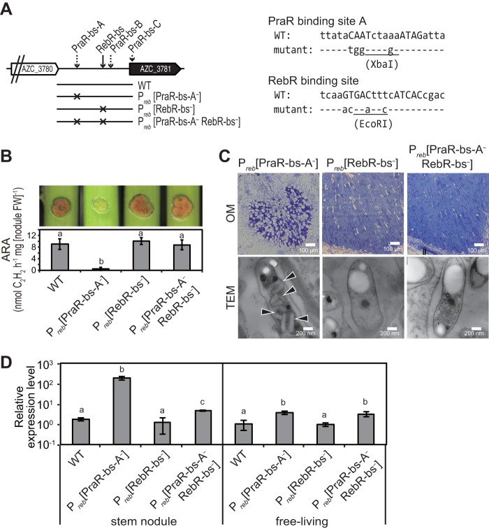 FIG 6 