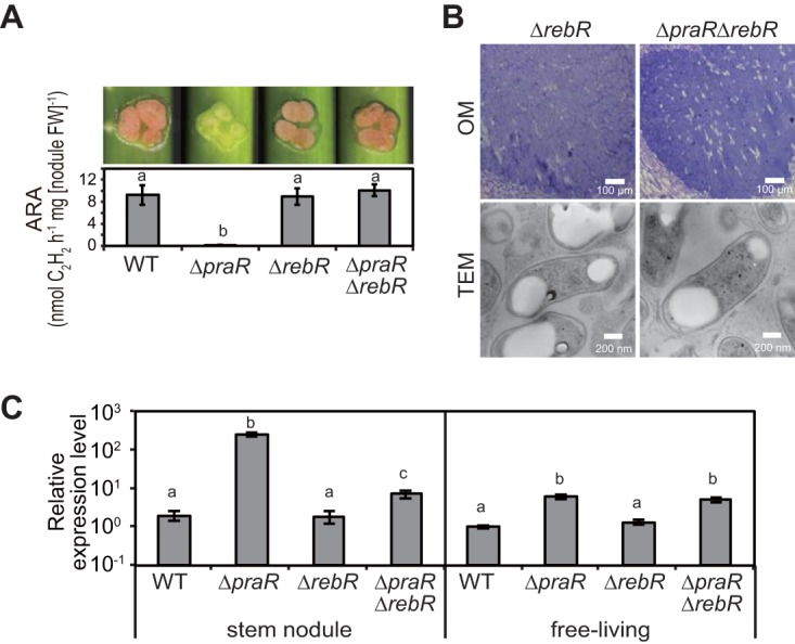 FIG 4 