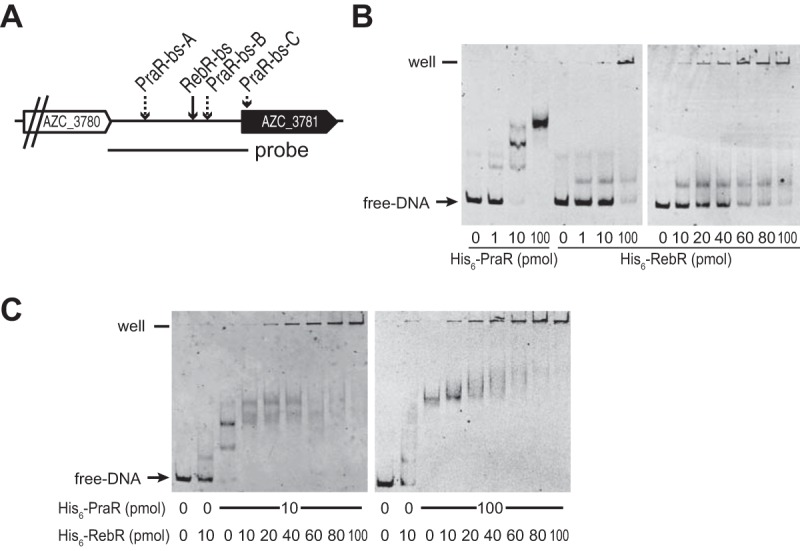 FIG 5 