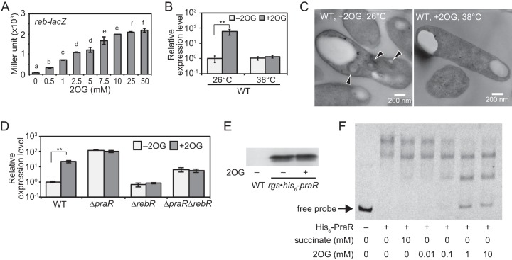 FIG 9 