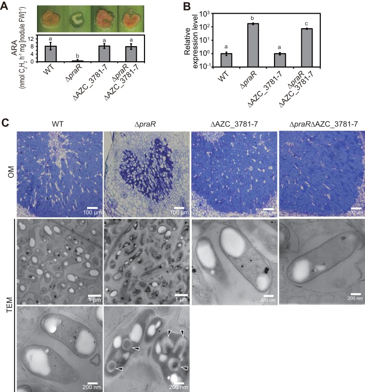 FIG 2 