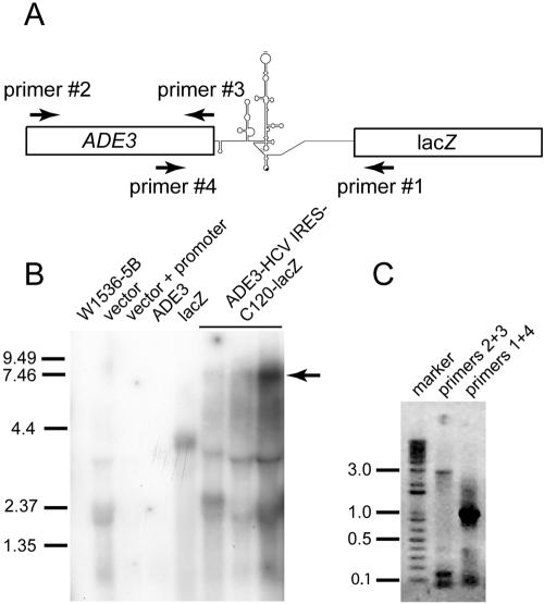 FIG. 5.