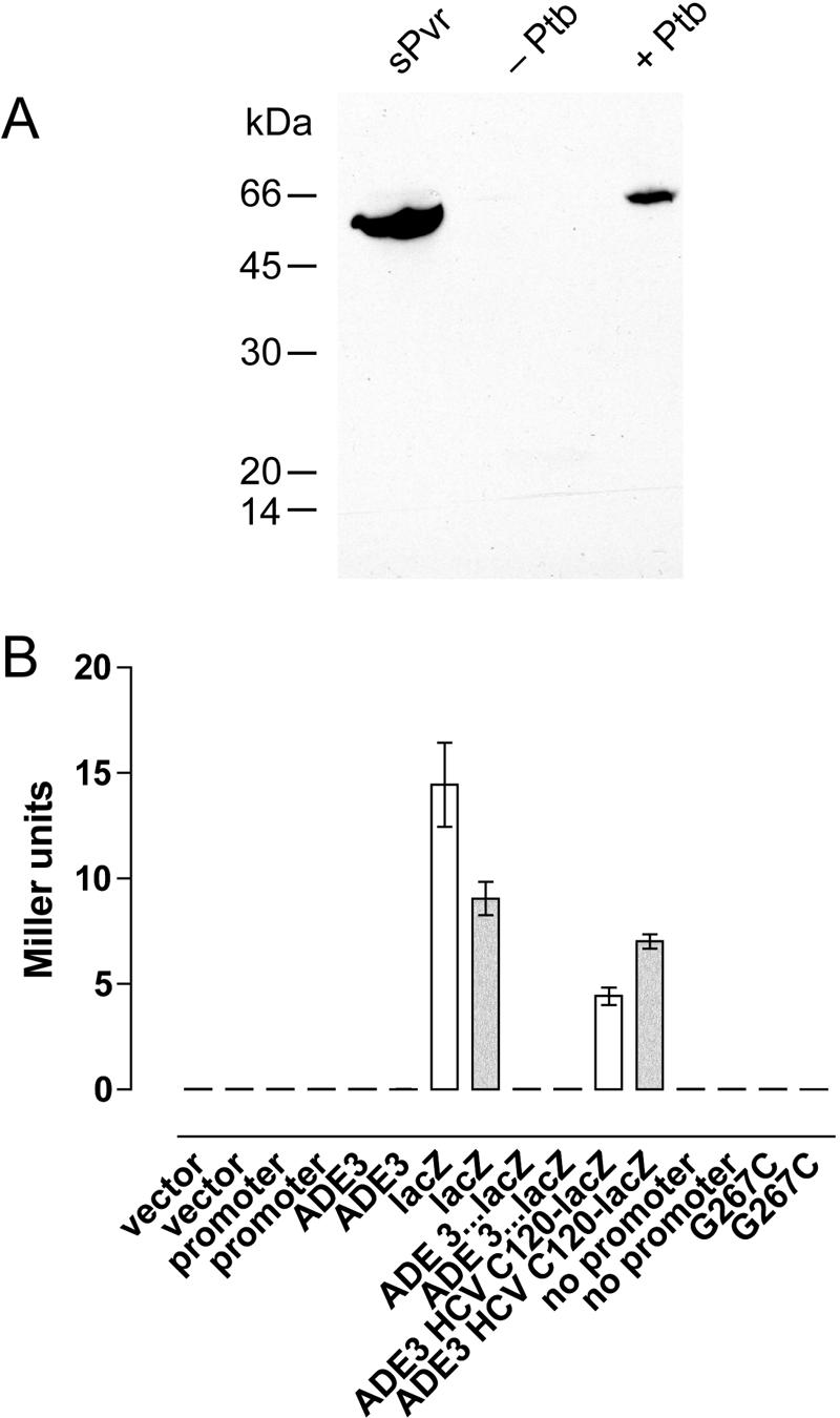 FIG. 10.